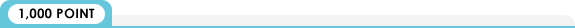 1000ポイント