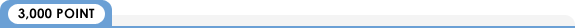 3000ポイント