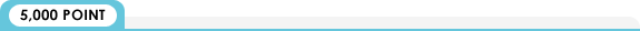 5000ポイント